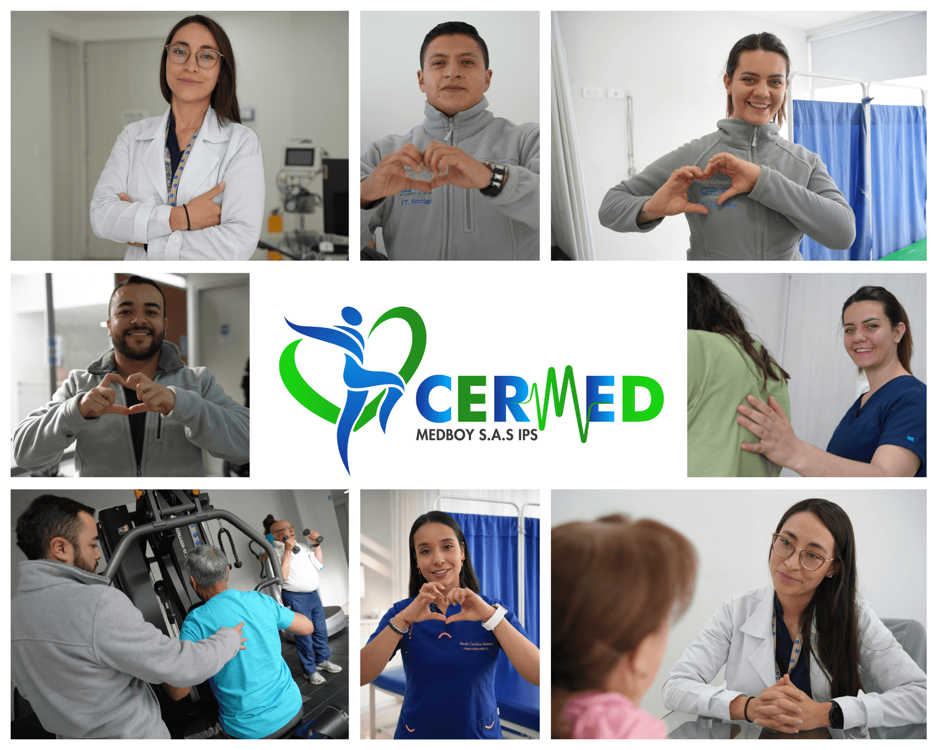 Logo CERMED